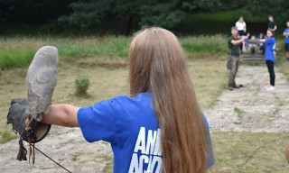 Junior Falconry Experience