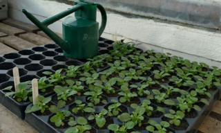Propagation Workshop