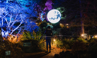 Luminate Winter Trail 2025