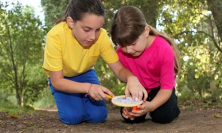 Family Explorers: Bug Hunting