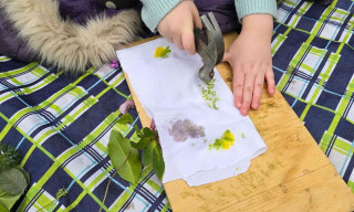 Family Hapa Zome Workshop