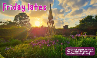 Friday Lates: catching the golden hour