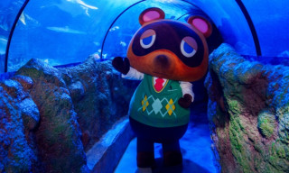 Animal Crossing: New Horizons