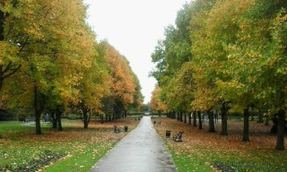 Brueton Park