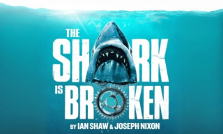 The Shark is Broken