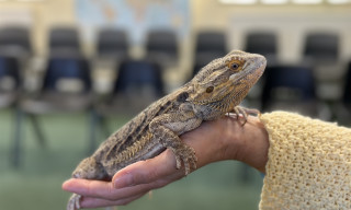 Wild Wednesdays: Animal Handling