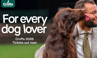 Crufts