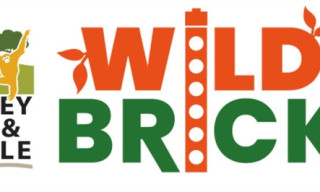 Wild Bricks at Dudley Zoo