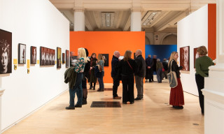 I Photograph Comedians! Artist Gallery Tour