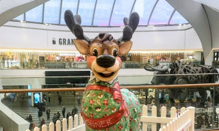 Brum’s Christmas Reindeer Trail
