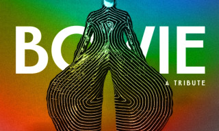 Bowie Night
