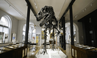 Lapworth Museum of Geology