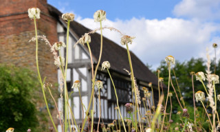 Manor House Museum