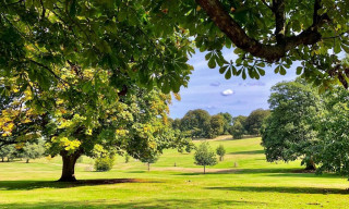Warley Woods