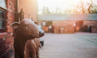 Sandwell Valley Visitor Centre (formally Sandwell Park Farm)