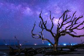 4 Top Spots for Stargazing in the Golden Isles