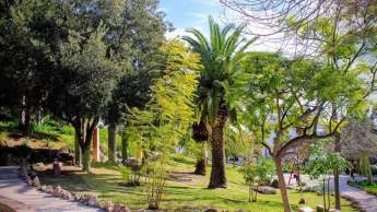 Parque de los Árboles