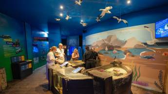 Sea Life Benalmádena