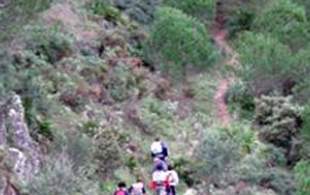 R-3 Sendero del Quejigal