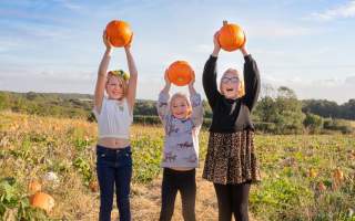 Drewtons Pumpkin Picking with Enchanted Fairy Walk