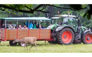 Deer Safari at Sledmere