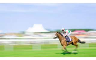 Photo Finish: A Year at Beverley Races