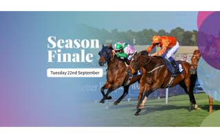 Season Finale