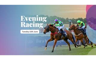 Evening Racing