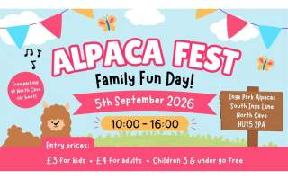 Alpaca Fest