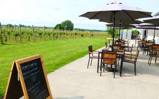 Wine Bar at Laurel Vines Vineyard and Winery