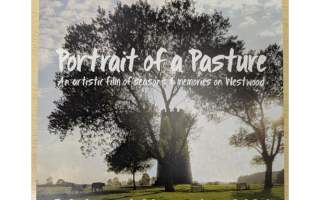Portrait of a Pasture