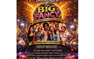 Disco for Grown Ups