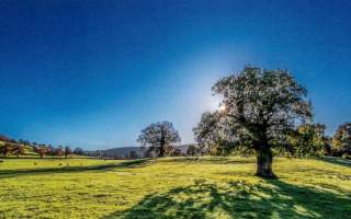 Beverley Chamber Choir - Summer Evening Concert