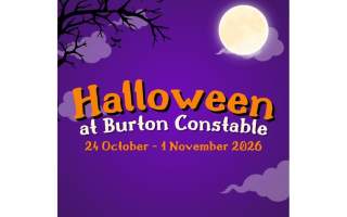 Halloween Half-Term Fun!