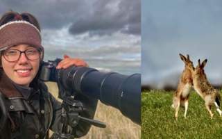 Boxing Hares and Other Sledmere Animals