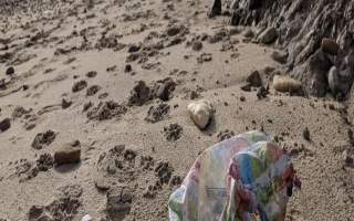 Fraisthorpe Beach Clean