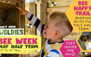 Woldies Bee Week May Half Term