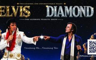 Elvis & Diamond Live Band