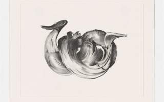 Georgia O'Keeffe: Memories of Drawings