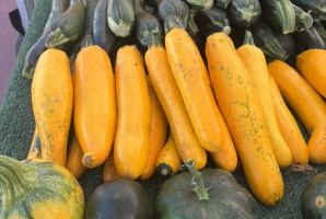 29 Palms Certified Farmers Market