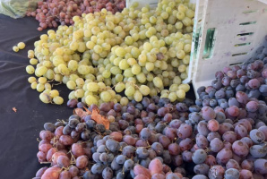 29 Palms Certified Farmers Market