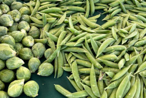 29 Palms Certified Farmers Market