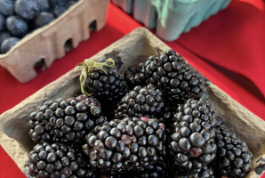 29 Palms Certified Farmers Market