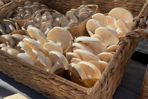 29 Palms Certified Farmers Market
