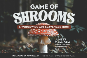 Game of Shrooms Scavenger Hunt