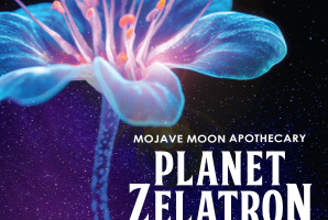 Planet Zelatron III - An Immersive Expereince