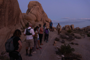 Desert Ecology Night Walk for Families