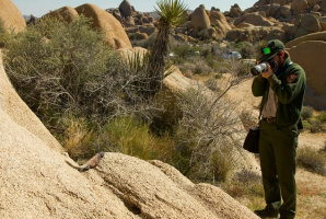 National Park Service 110th Birthday