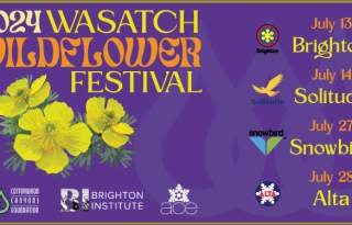 2024 Wasatch Wildflower Festival at Snowbird
