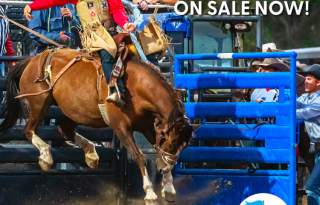 Utah's Own Rodeo 2025